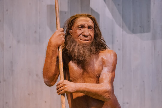 Cavernicola race